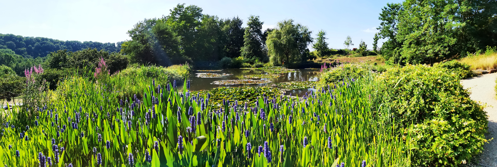 Du 06/07 au 26/07/19  "Le Morbihan"