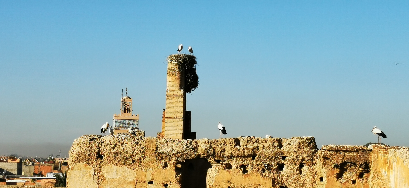 IMG 20200102 103522 1